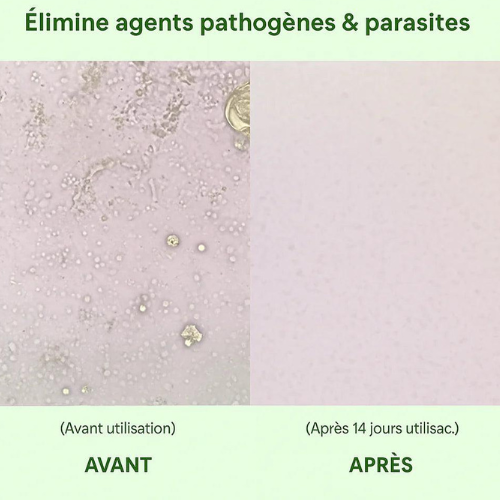 Oreganis - Booster d'énergie et de santé
