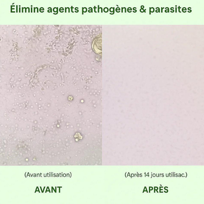Oreganis - Booster d'énergie et de santé